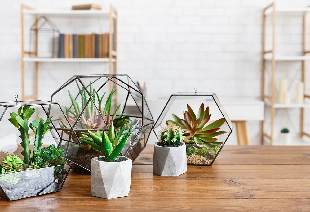 8 Indoor Plant Pot Ideas You Can t Afford To Miss 2022